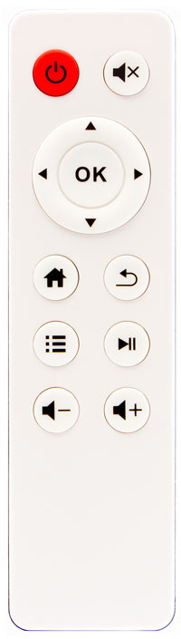 Custom Remote Model SA-13